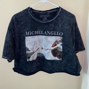 michelangelo dark grey cropped t shirt